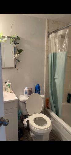 Appartement de 1 chambre à louer à Montreal - Saint-Laurent — photo 4