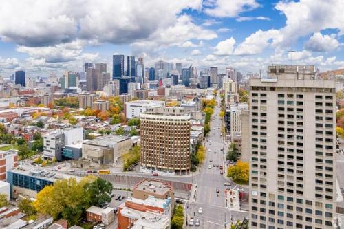 Appartement de 2 chambres à louer à Montreal - Le Plateau-Mont-Royal — photo 8