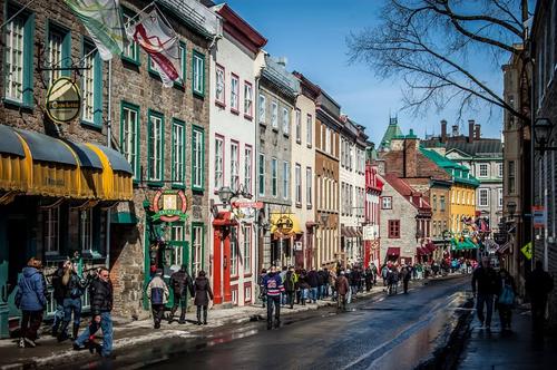1 bedroom apartment for rent in Québec - La Cité-Limoilou — photo 14