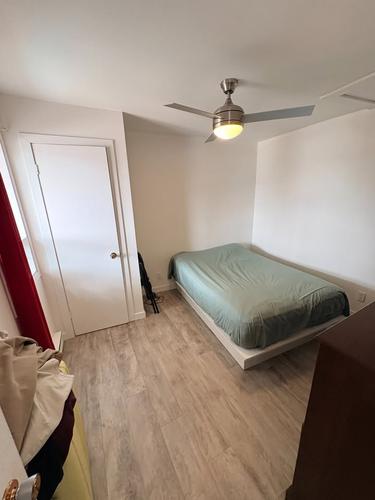 1 bedroom apartment for rent in Lévis — photo 3