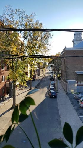 Appartement de 2 chambres à louer à Québec - La Cité-Limoilou — photo 26