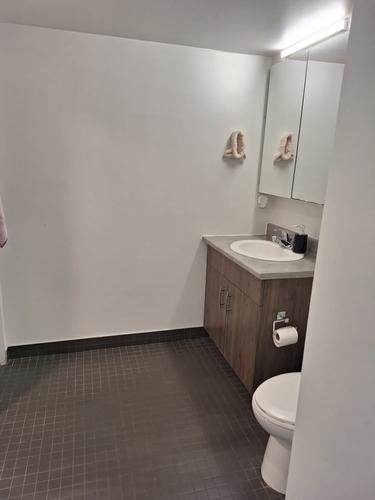 1 bedroom apartment for rent in Montreal - Le Plateau-Mont-Royal — photo 8