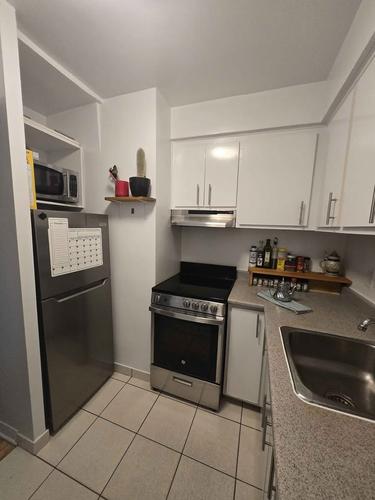 Appartement de 1 chambre à louer à Montreal - Le Plateau-Mont-Royal — photo 10