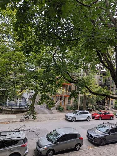 1 bedroom apartment for rent in Montreal - Le Plateau-Mont-Royal — photo 7
