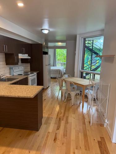 4 bedrooms apartment for rent in Montreal - Le Plateau-Mont-Royal — photo 3