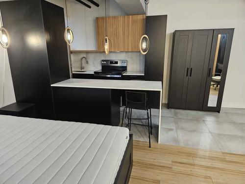 Studio for rent in Laval — photo 4