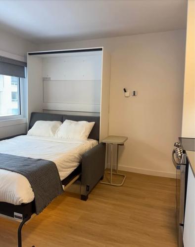 Appartement de 1 chambre à louer à Montreal - Le Plateau-Mont-Royal — photo 6