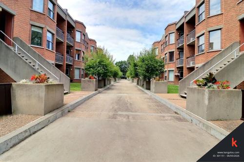 Appartement de 2 chambres à louer à Québec - La Cité-Limoilou — photo 13
