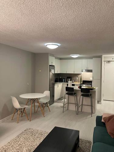 1 bedroom apartment for rent in Montreal - Ville-Marie — photo 6