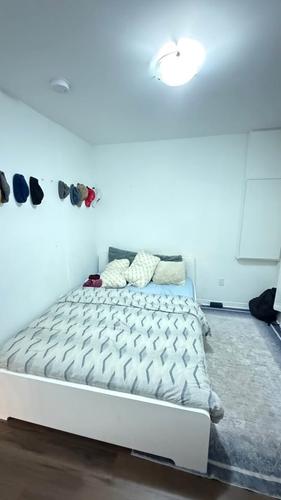 1 bedroom apartment for rent in Gatineau — photo 4