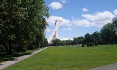 Studio à louer à Montreal - Rosemont–La Petite-Patrie — photo 27