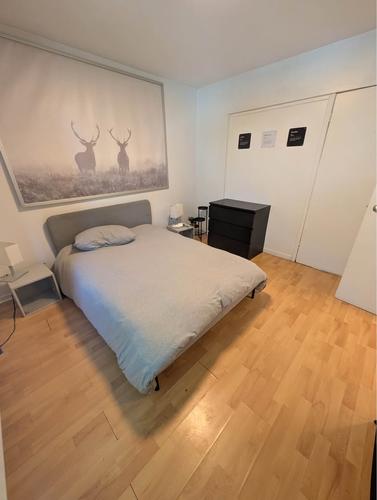 Appartement de 2 chambres à louer à Montreal - Ville-Marie — photo 12