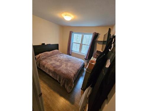 1 bedroom apartment for rent in Lévis — photo 5