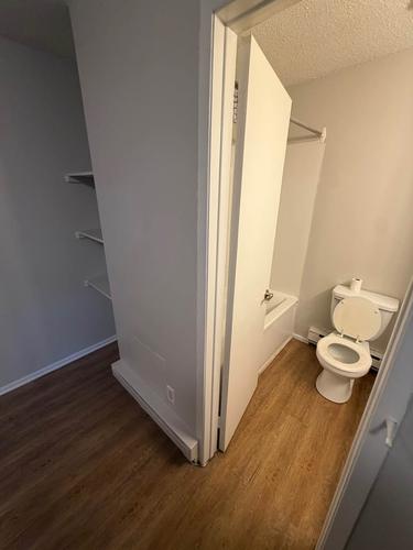 1 bedroom apartment for rent in Gatineau — photo 3