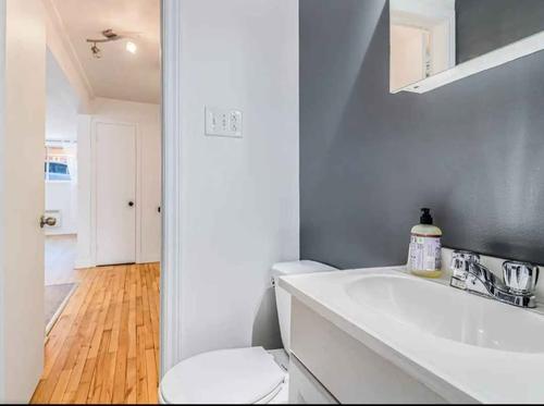 Appartement de 1 chambre à louer à Montreal - Rosemont–La Petite-Patrie — photo 5