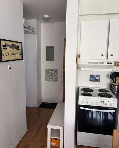 Appartement de 1 chambre à louer à Montreal - Le Plateau-Mont-Royal — photo 3