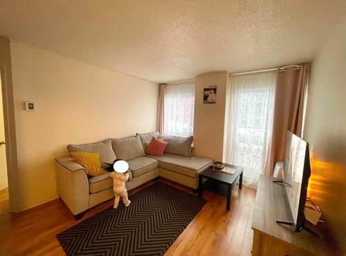 2 bedrooms apartment for rent in Québec - Sainte-Foy–Sillery–Cap-Rouge — photo 11