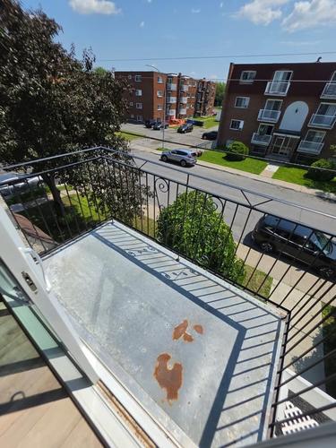 1 bedroom apartment for rent in Longueuil — photo 9