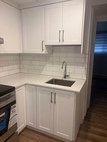 1 bedroom apartment for rent in Montreal - Rosemont–La Petite-Patrie — photo 4