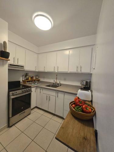 Appartement de 1 chambre à louer à Montreal - Le Plateau-Mont-Royal — photo 9