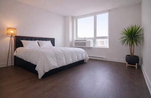 Appartement de 3 chambres à louer à Laval — photo 4