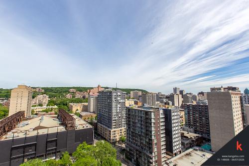 Appartement de 2 chambres à louer à Montreal - Ville-Marie — photo 15