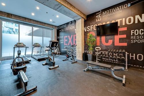 1 bedroom apartment for rent in Montreal - Ville-Marie — photo 10