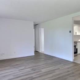 2 bedrooms apartment for rent in Québec - Sainte-Foy–Sillery–Cap-Rouge — photo 4