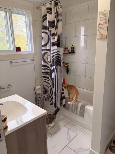 1 bedroom apartment for rent in Gatineau — photo 4