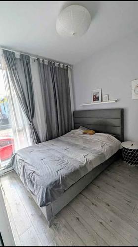 1 bedroom apartment for rent in Montreal - Ville-Marie — photo 3
