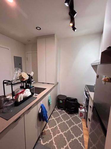 1 bedroom apartment for rent in Montreal - Rosemont–La Petite-Patrie — photo 8