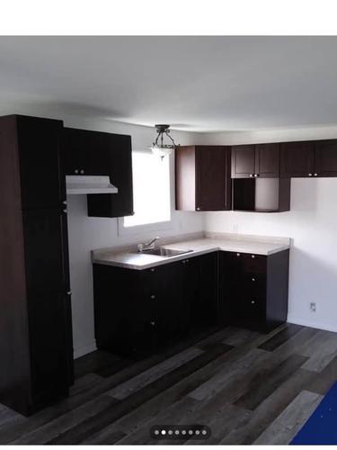 Appartement de 1 chambre à louer à Gatineau — photo 3