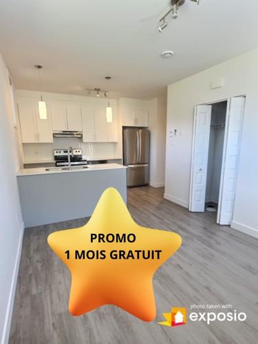 Appartement de 1 chambre à louer à Gatineau — photo 2