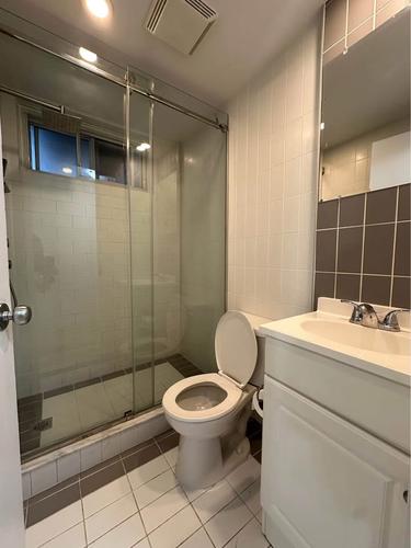 1 bedroom apartment for rent in Montreal - Le Plateau-Mont-Royal — photo 3