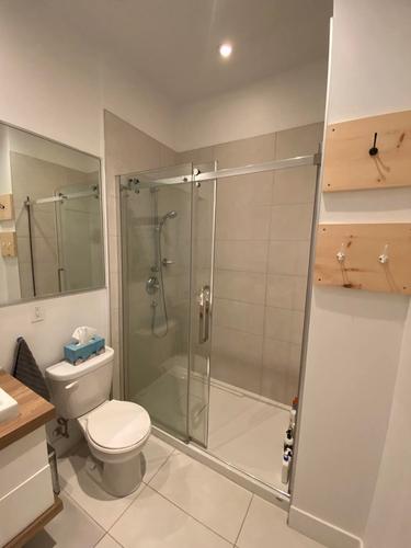 Studio for rent in Québec - La Cité-Limoilou — photo 7