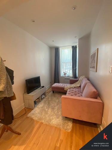 1 bedroom apartment for rent in Montreal - Le Plateau-Mont-Royal — photo 6