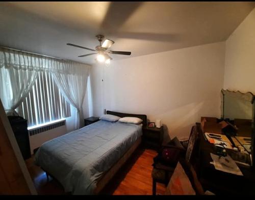 Appartement de 2 chambres à louer à Montreal - Rosemont–La Petite-Patrie — photo 3