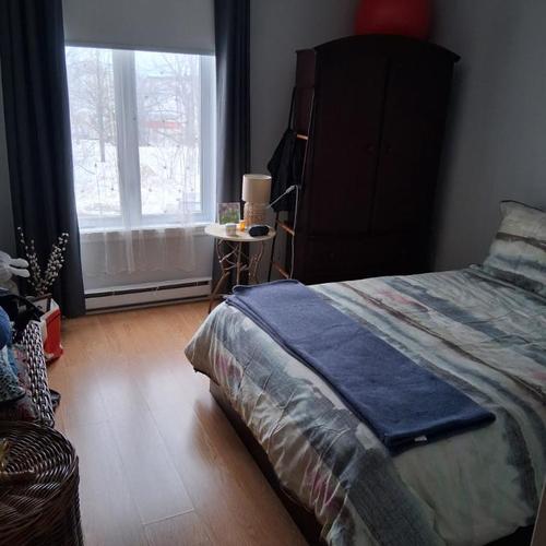 Appartement de 2 chambres à louer à Québec - La Cité-Limoilou — photo 9