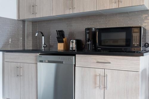 1 bedroom apartment for rent in Montreal - Le Plateau-Mont-Royal — photo 6