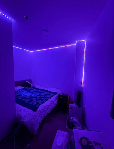 2 bedrooms apartment for rent in Montreal - Le Plateau-Mont-Royal — photo 5