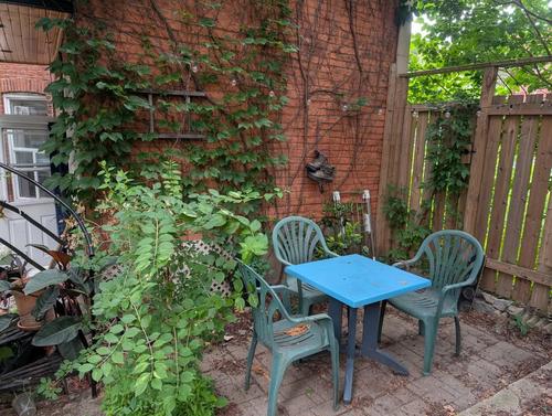 1 bedroom apartment for rent in Montreal - Ville-Marie — photo 9