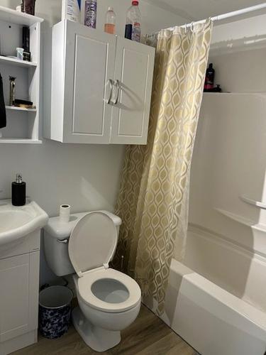 1 bedroom apartment for rent in Longueuil — photo 6