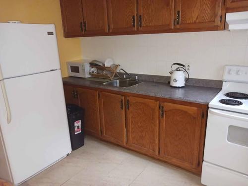 Appartement de 2 chambres à louer à Montreal - Rosemont–La Petite-Patrie — photo 6