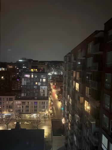 1 bedroom apartment for rent in Montreal - Le Plateau-Mont-Royal — photo 3