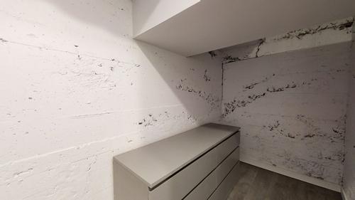 Studio for rent in Montreal - Le Plateau-Mont-Royal — photo 5