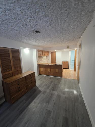 1 bedroom apartment for rent in Montreal - Rivière-des-Prairies–Pointe-aux-Trembles — photo 3