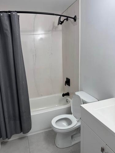 2 bedrooms apartment for rent in Montreal - Le Plateau-Mont-Royal — photo 5