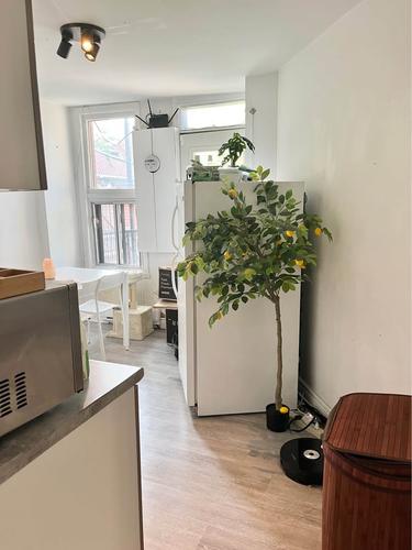 Appartement de 1 chambre à louer à Montreal - Le Plateau-Mont-Royal — photo 2