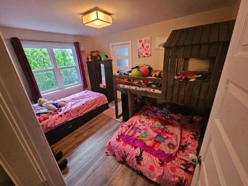 1 bedroom apartment for rent in Lévis — photo 3