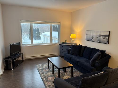 1 bedroom apartment for rent in Gatineau — photo 2